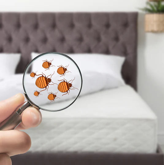 dezinfekcija hotelskog vesa